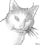 chat Coloriages À Imprimer